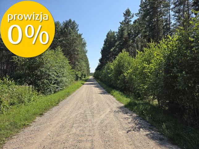 Działka Sprzedaż Solniki 3