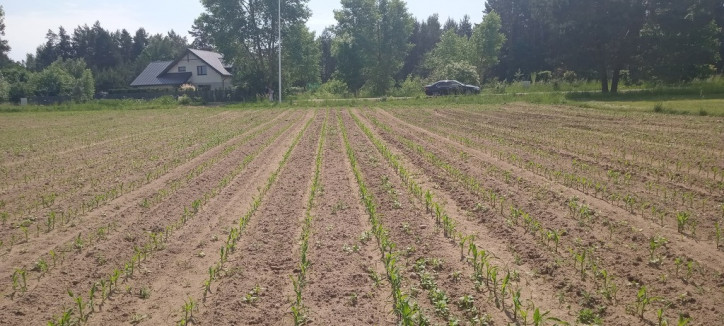 Działka Sprzedaż Pogorzałki 4