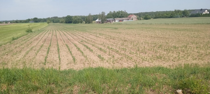 Działka Sprzedaż Pogorzałki 2